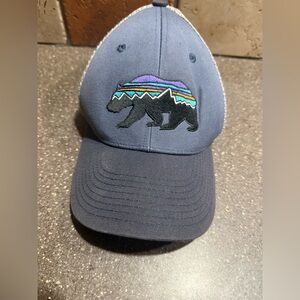 Patagonia Fitz Roy Bear Trucker Hat Blue Gray